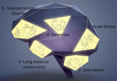 Brain layout