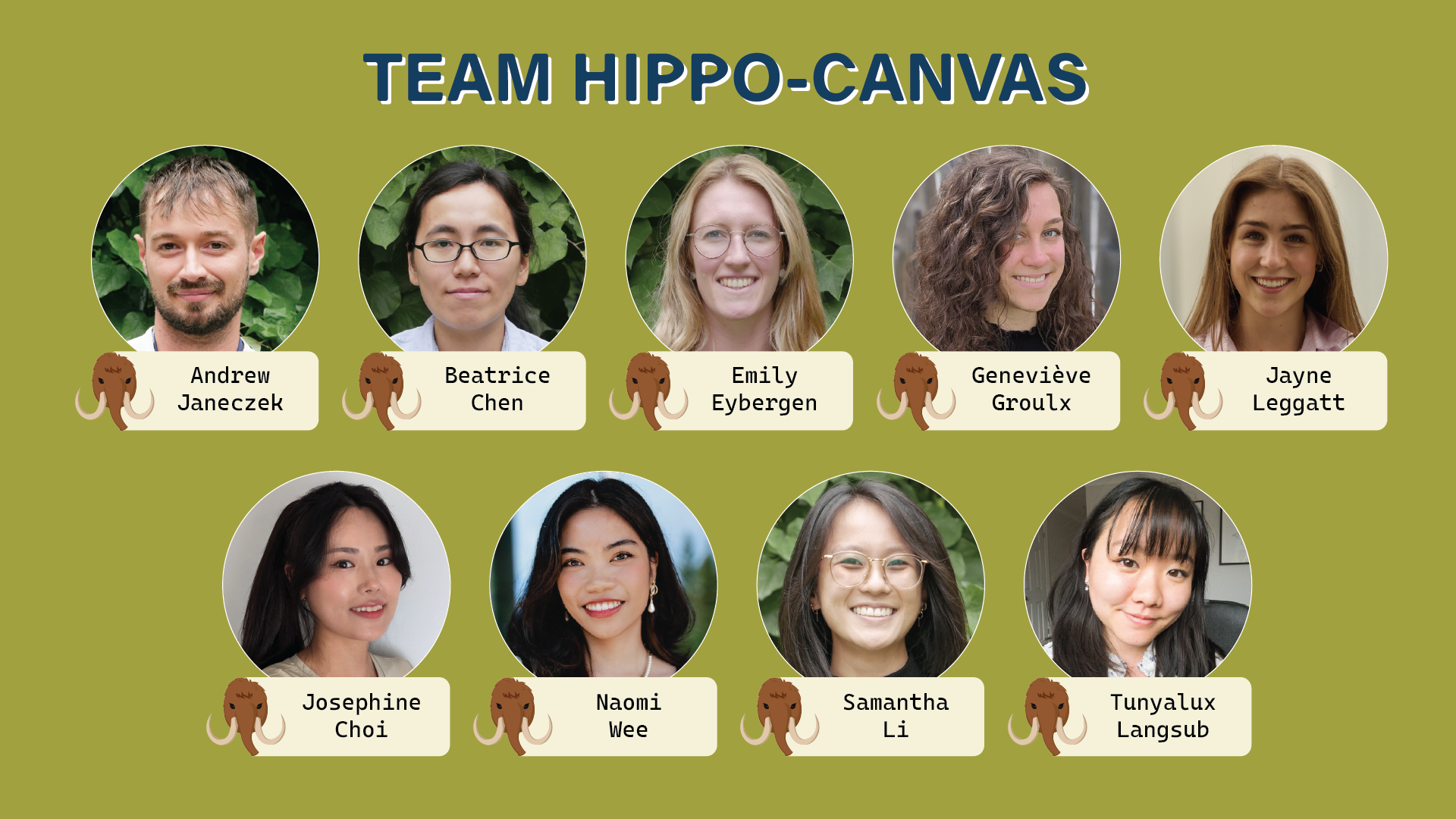 Team Hippocanvas